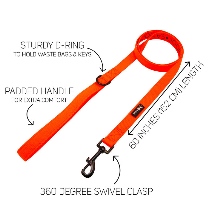 The Sassy Woof Dog Two Piece Bundle in Neon Orange features a 60-inch leash with padded handle, sturdy D-ring, and 360° swivel clasp, pairing perfectly with a matching harness for safety and style. Labeled features highlighted by arrows and text.