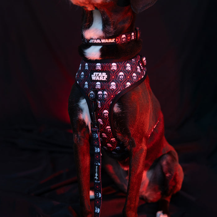 A dog wearing the Sassy Woof Dog Two Piece Bundle - STAR WARS™ The Dark Side harness and vest.