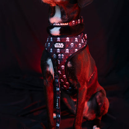 A dog wearing the Sassy Woof Dog Two Piece Bundle - STAR WARS™ The Dark Side harness and vest.