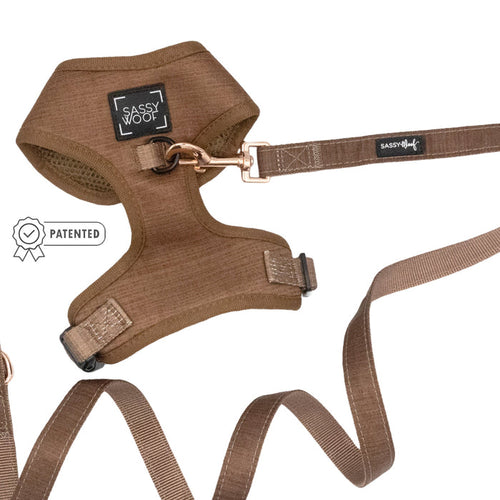 Sassy Woof Dog Two Piece Bundle - Teddy, featuring an adjustable harness with patented design and matching leash, both shown on a white background. The set includes black Sassy Woof logo tags with white text.