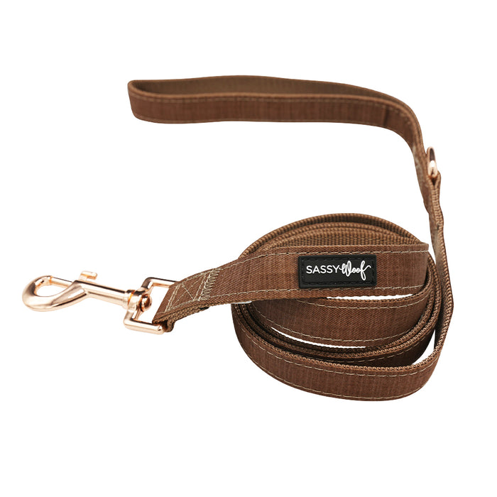 The Sassy Woof Dog Two Piece Bundle - Teddy, shown coiled on a white background, features a brown fabric leash with a metal clasp and the Sassy Woof label.
