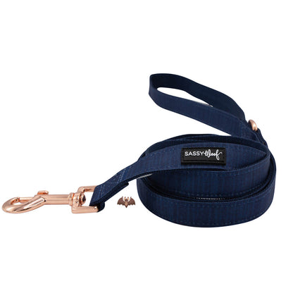 Sassy Woof's Dog Two Piece Bundle - Twilight features a blue leash with a gold hook, perfect for pairing with your adjustable harness.
