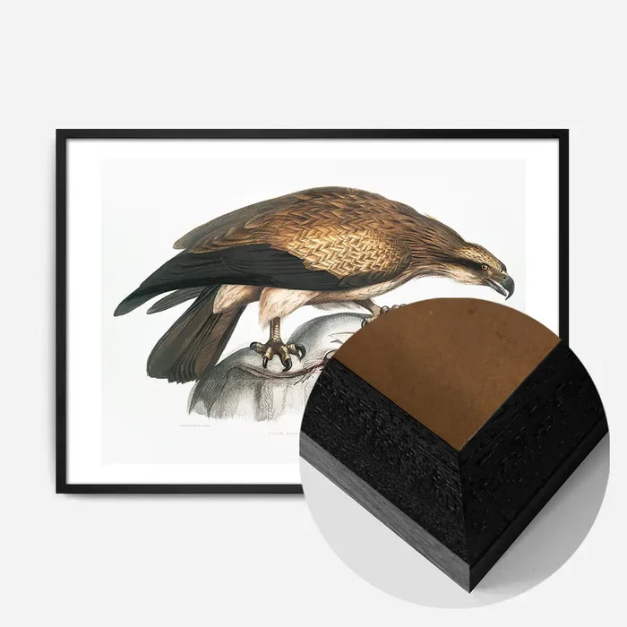 21x30cm | 8¼ x 11¾in / Black Wood Frame
