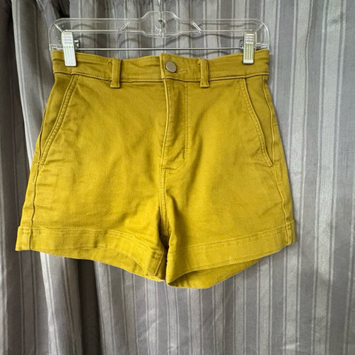 Everlane SIZE 2 Women's Shorts