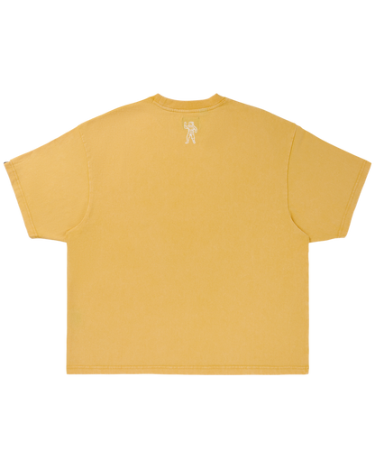 Faded Curve SS Knit
