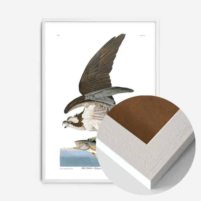 21x30cm | 8¼ x 11¾in / White Wood Frame