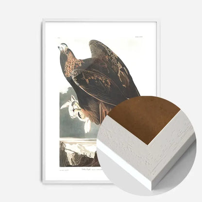 21x30cm | 8¼ x 11¾in / White Wood Frame