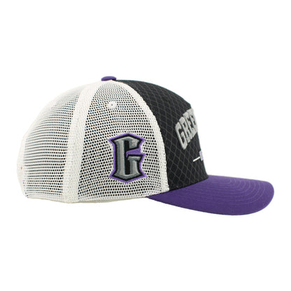 Greensboro Gargoyles Champ Black/Stone Netting 3D SP Hat