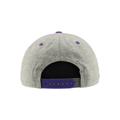 Greensboro Gargoyles Highcut Med Grey Suit/Black Official 3D Flat Bill Hat