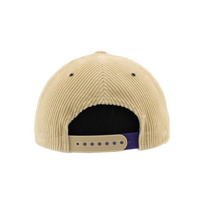 Greensboro Gargoyles Theory Warm Sand Official 3D CTN Hat