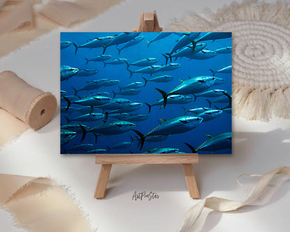 Group of Giant Tuna Landscape Custom Greeting Cards