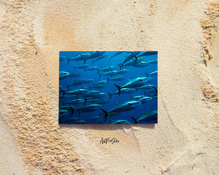 Group of Giant Tuna Landscape Custom Greeting Cards