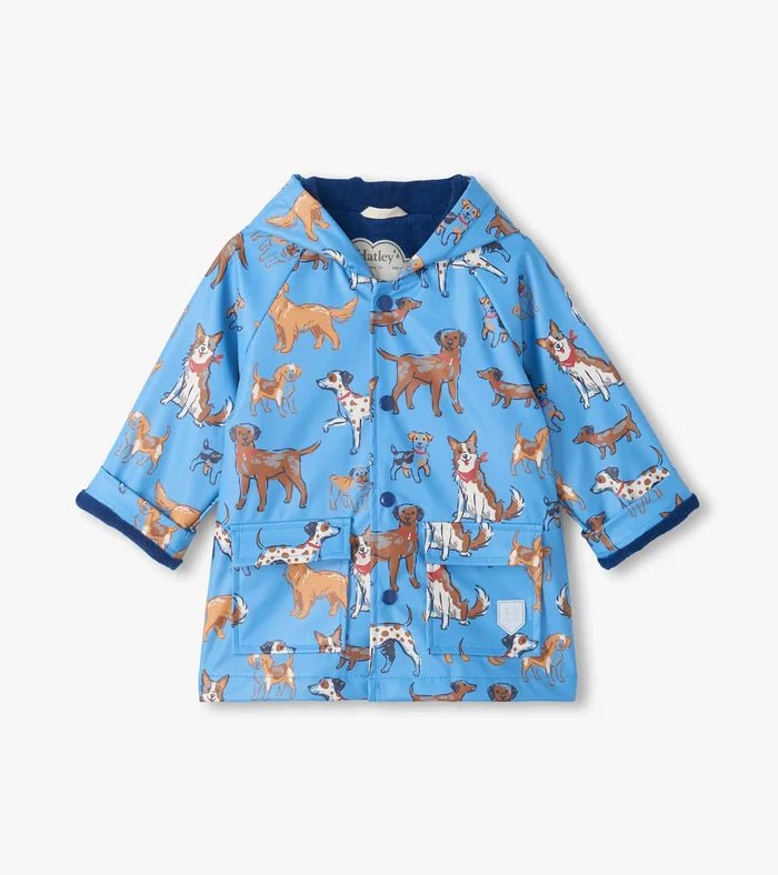 Hatley Snap Raincoat in Blue Little Pups