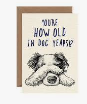 How Old Dog Years