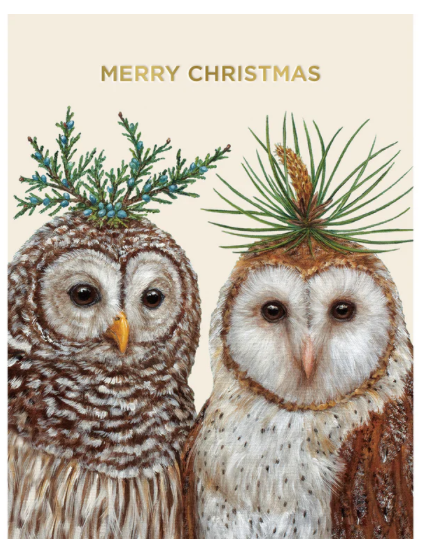 Winter Owls