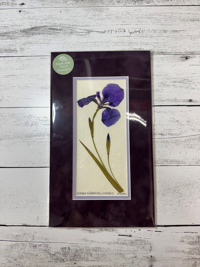Wildflower-Wild Iris Rectangle (SE Purple Mat)