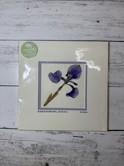 Wildflower-Wild Iris Square (White Mat)