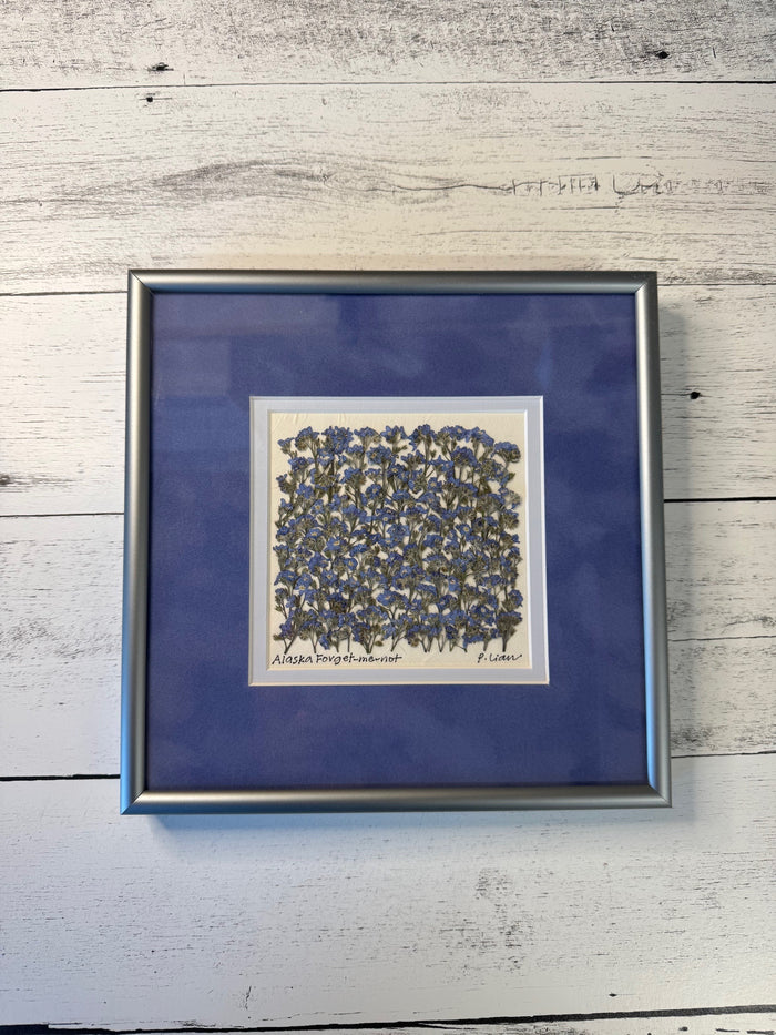 Forget-Me-Not (SE Blue Mat with Frame)