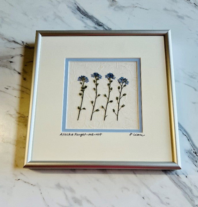 Forget-Me-Not (White Mat with Frame)