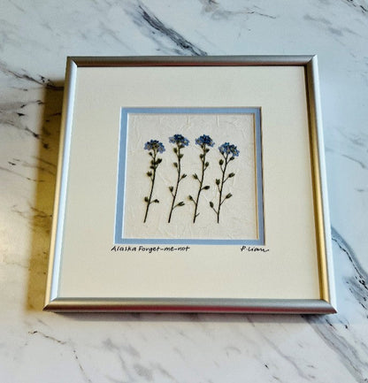 Forget-Me-Not (White Mat with Frame)