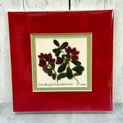 Low Bush Cranberries (8"x8" mat)