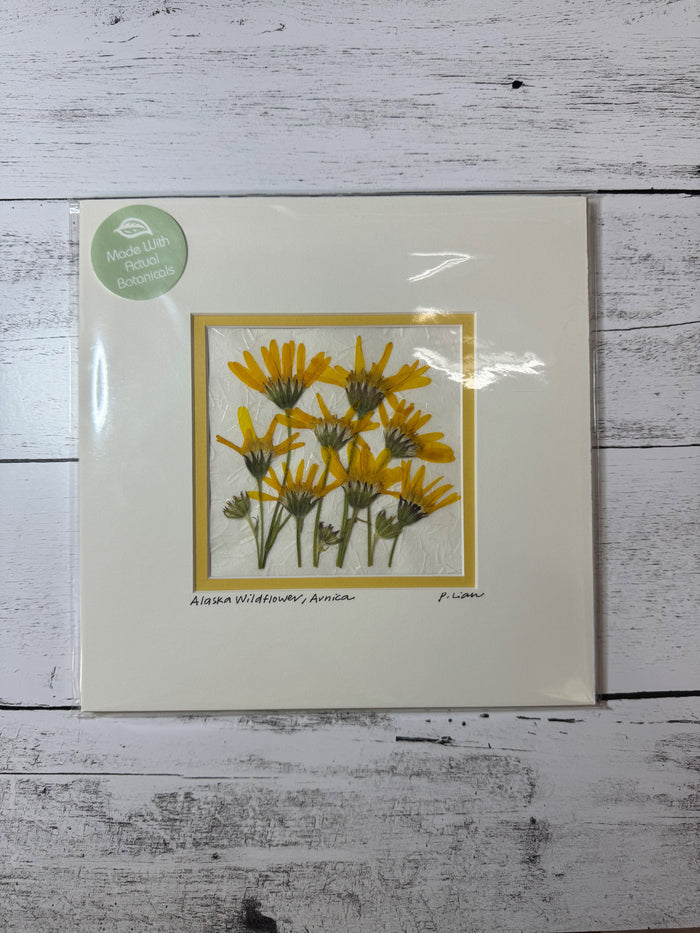 Wildflower-Arnica Square (SE White Mat)
