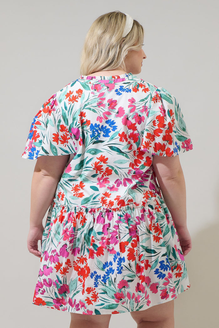 Kivia Blossom Rock A By Trapeze Mini Dress Curve