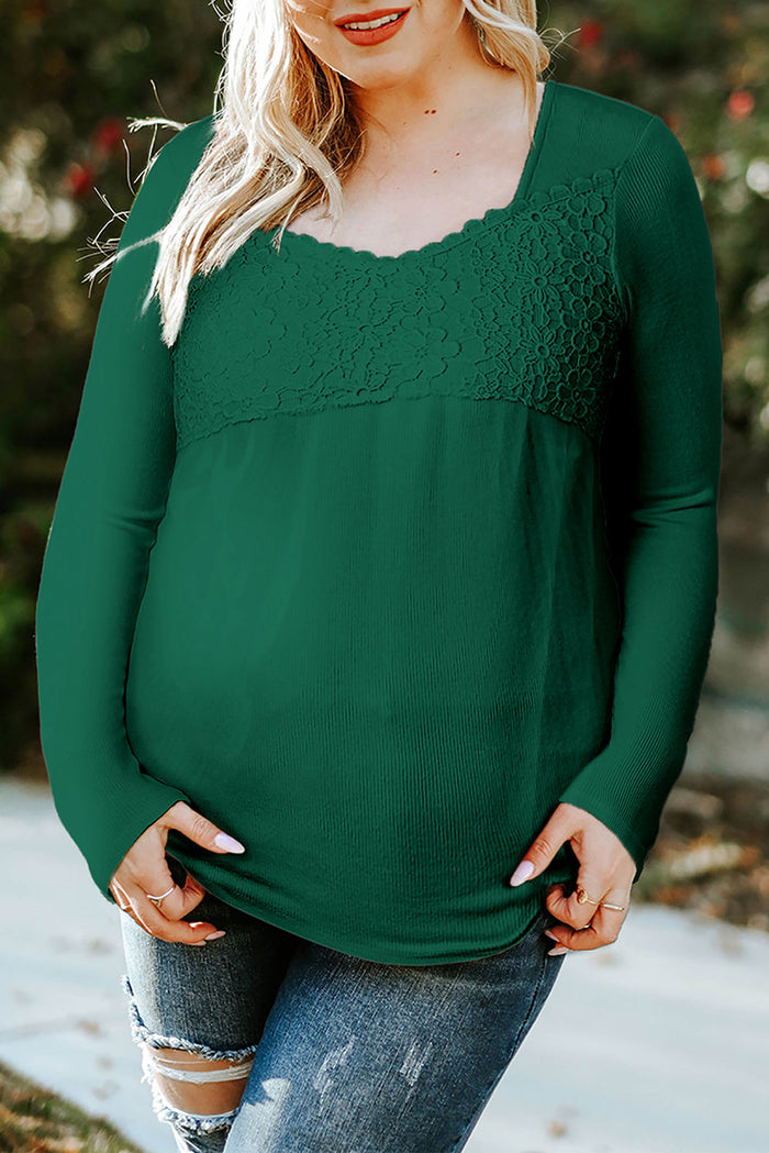 Lace Crochet V Neck Long Sleeve Top - Tops/Long Tops