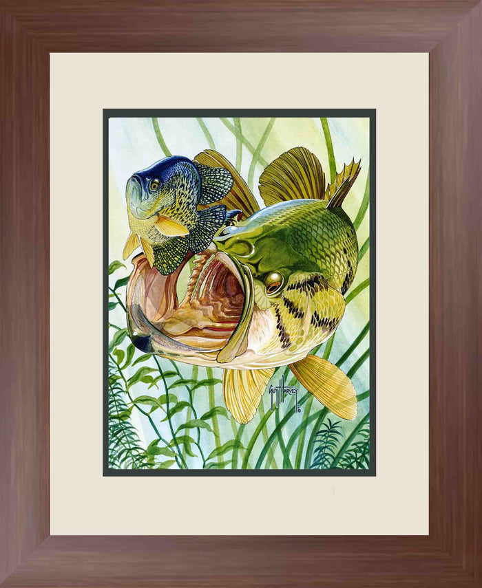 "Largemouth and Crappie" Limited Edition Print