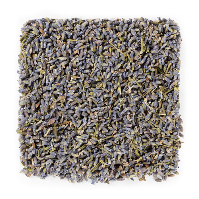Lavender #1341