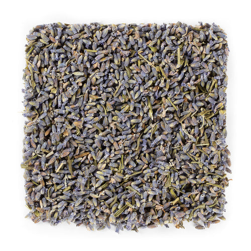Lavender #1341