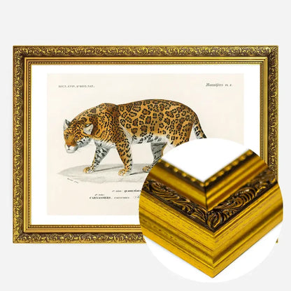 21x30cm | 8¼ x 11¾in / Gold Ornate Frame