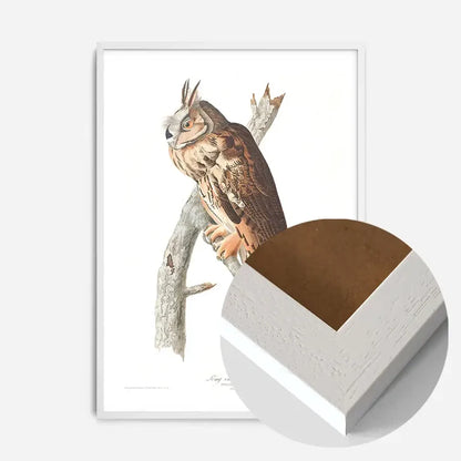 21x30cm | 8¼ x 11¾in / White Wood Frame