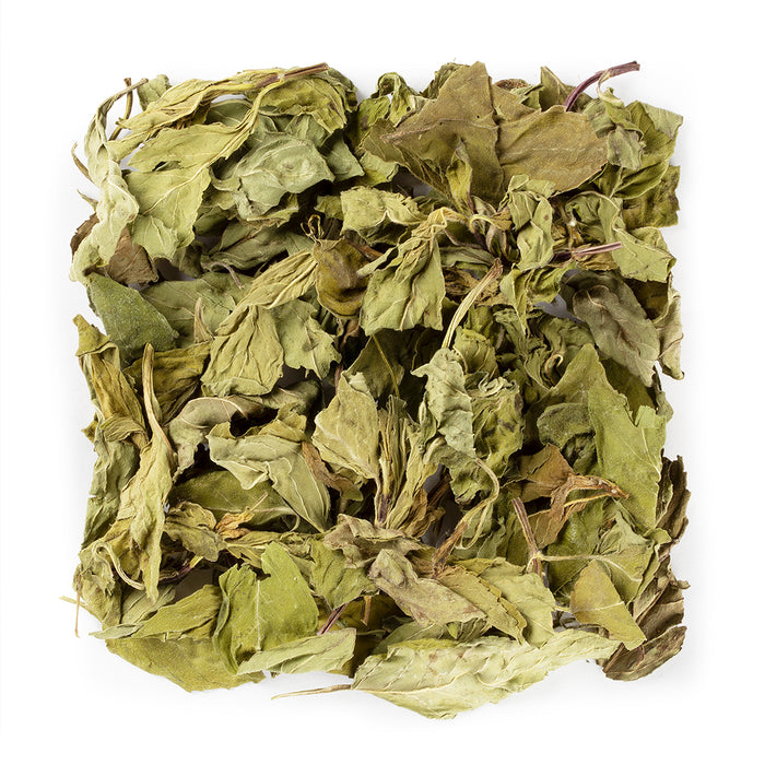 Mint Tea #1331