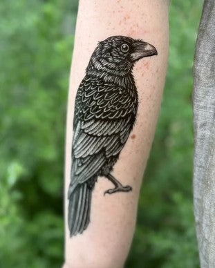 Raven (2 Pack)