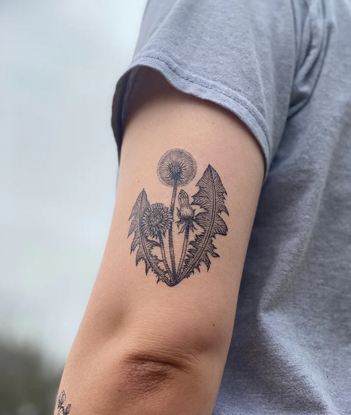 NatureTats Temporary Tattoos