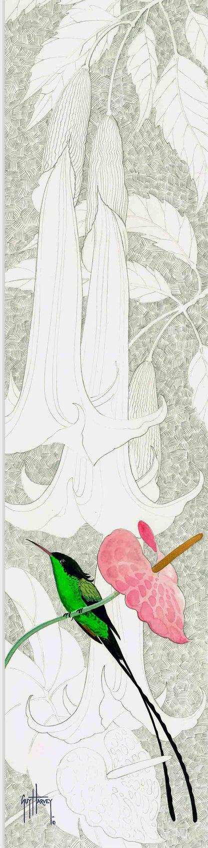 "Pink Anthurium" Limited Edition Print