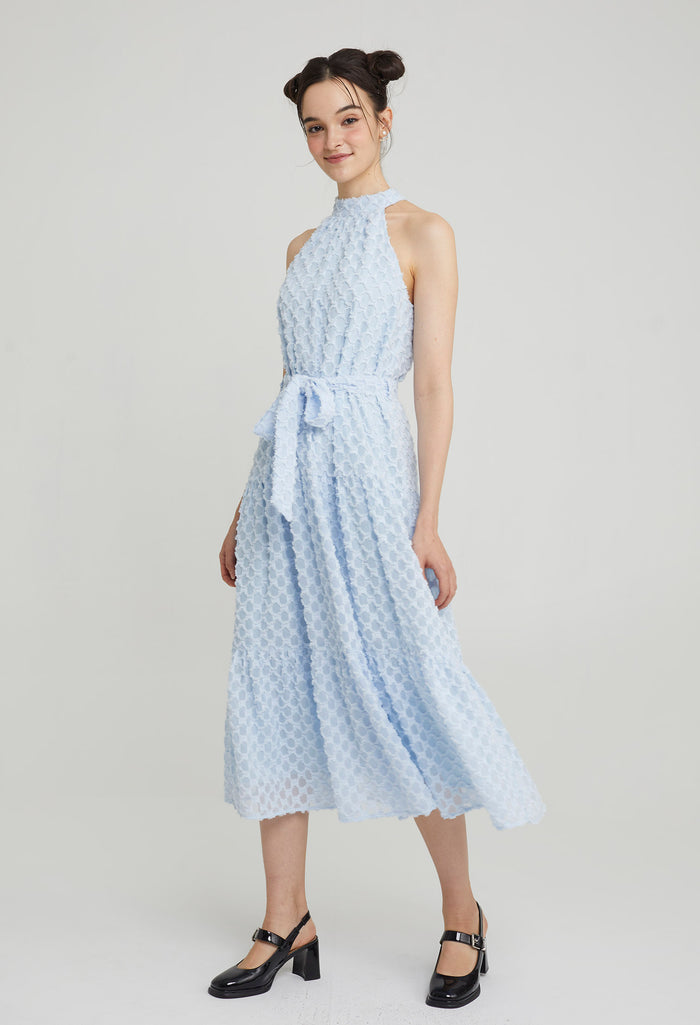 Quinn Organza Midi Dress