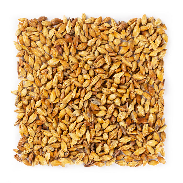Roasted Barley Tea #1366