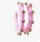 Smith & Co. City Girl Jewel Hoop Earrings