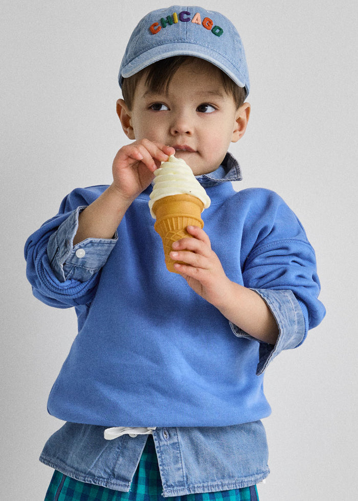 Toddler Sweet Home Chicago Dad Hat - Denim