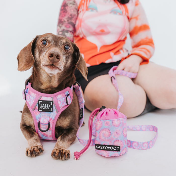 A dog sits next to a woman, and she carries the Sassy Woof Treat Pouch in Purple Haze.