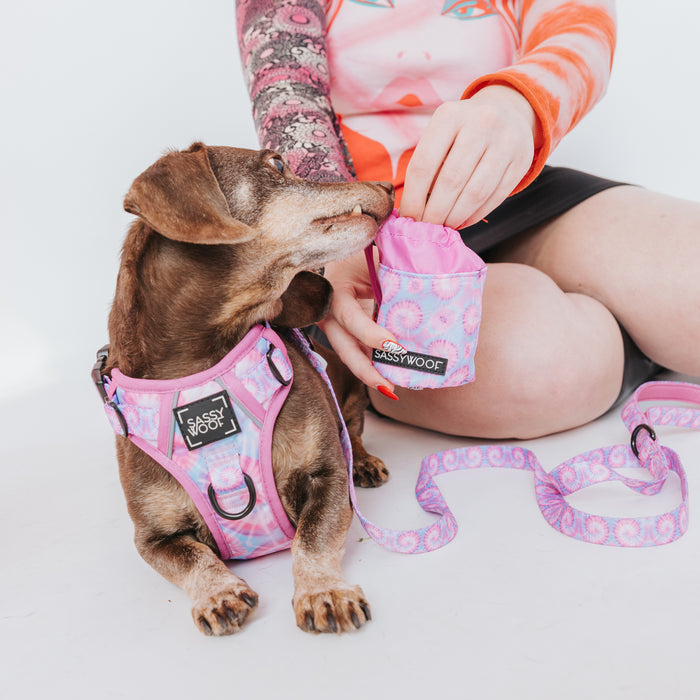A small brown dog in a matching Purple Haze harness sits beside a person reaching into the Sassy Woof Treat Pouch - Purple Haze, with a pink leash attached to the harness.