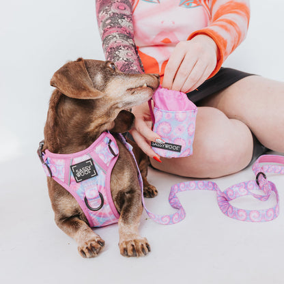 A small brown dog in a matching Purple Haze harness sits beside a person reaching into the Sassy Woof Treat Pouch - Purple Haze, with a pink leash attached to the harness.