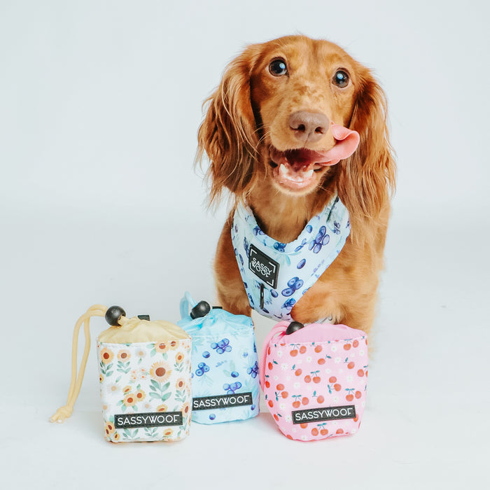 A brown dog in a blue and white bandana licks its nose behind three colorful Sassy Woof Treat Pouch - Sunflower Dreams—ideal for pet owners to keep treats or bags handy during dog training.