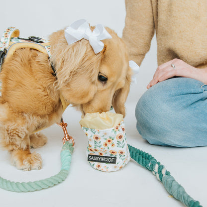 A light brown dog in a floral harness sniffs inside the Sassy Woof Treat Pouch - Sunflower Dreams. Next to a person in jeans and a beige sweater holding a green leash, this pouch is perfect for pet owners.
