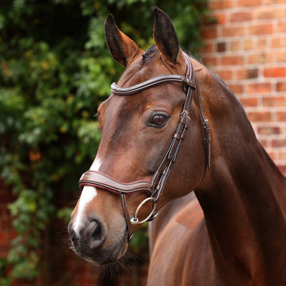 Velociti LUSSO Opus 180M Ergonomic Flash Bridle