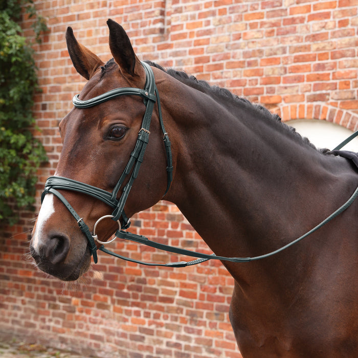 Velociti LUSSO Opus Pro SureGrip Reins