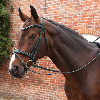 Velociti LUSSO Opus Pro SureGrip Reins