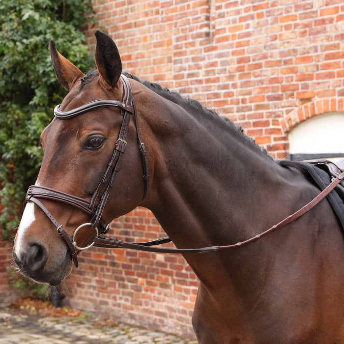 Velociti LUSSO Opus Pro SureGrip Reins